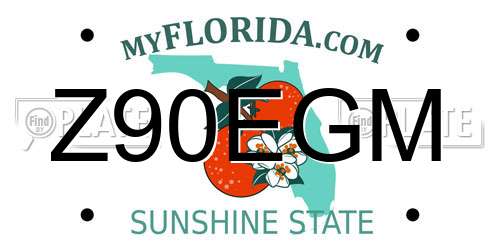 Z90EGM Florida License Plate