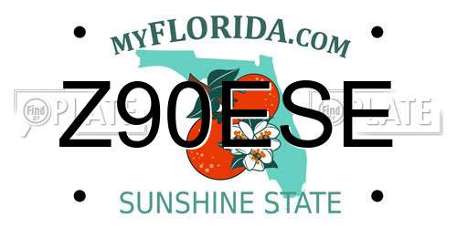 Z90ESE Florida License Plate