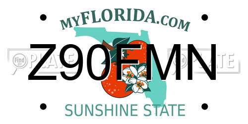 Z90FMN Florida License Plate