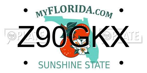 Z90GKX Florida License Plate
