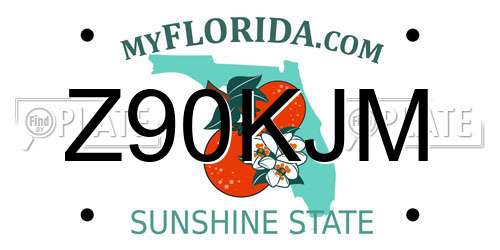 Z90KJM Florida License Plate