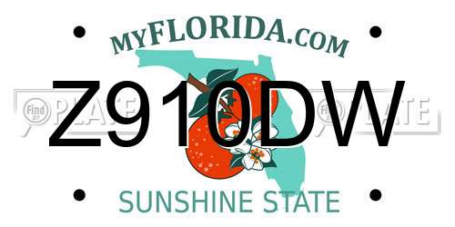 Z910DW Florida License Plate