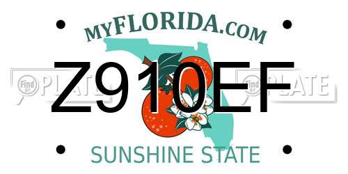 Z910EF Florida License Plate