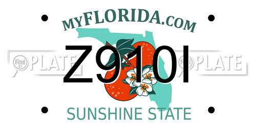 Z910I Florida License Plate
