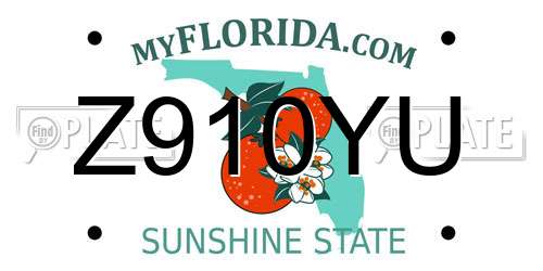 Z910YU Florida License Plate