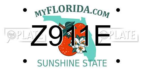 Z911E Florida License Plate
