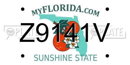 Z9141V Florida License Plate