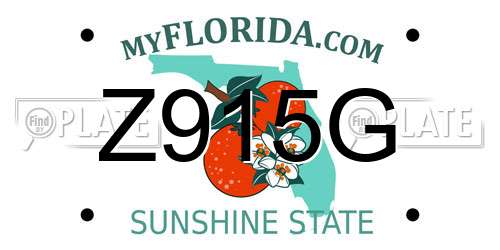 Z915G Florida License Plate