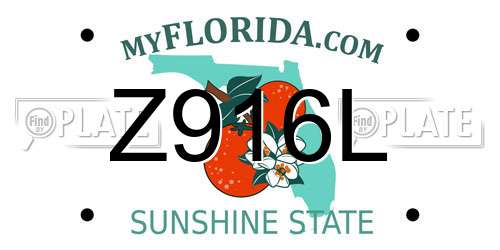 Z916L Florida License Plate