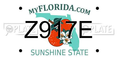 Z917E Florida License Plate