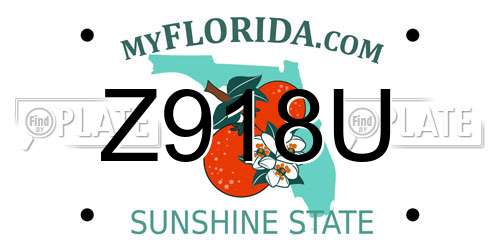 Z918U Florida License Plate