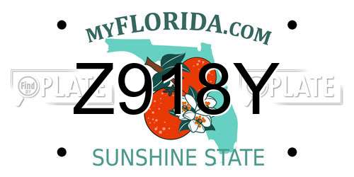 Z918Y Florida License Plate