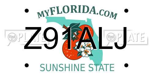 Z91ALJ Florida License Plate