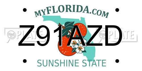 Z91AZD Florida License Plate