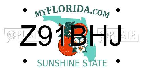 Z91BHJ Florida License Plate