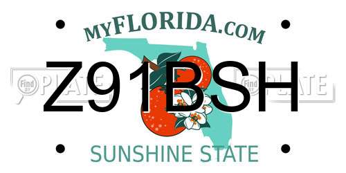 Z91BSH Florida License Plate