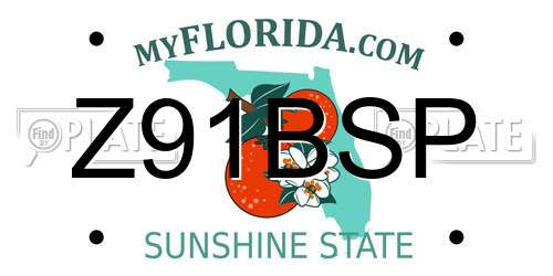 Z91BSP Florida License Plate
