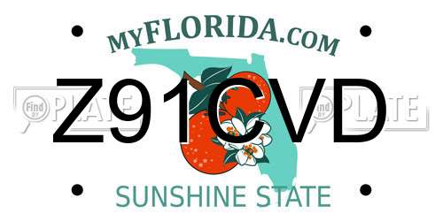 Z91CVD Florida License Plate