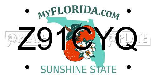 Z91CYQ Florida License Plate