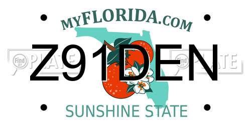 Z91DEN Florida License Plate