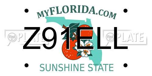 Z91ELL Florida License Plate