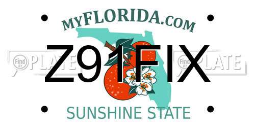 Z91FIX Florida License Plate