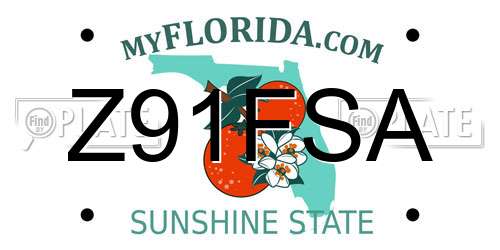 Z91FSA Florida License Plate