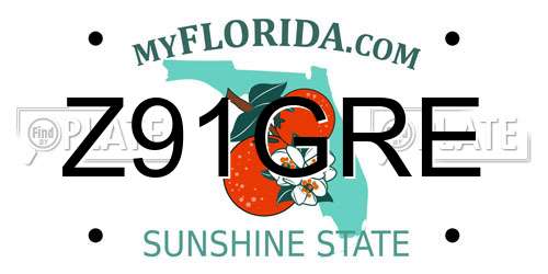 Z91GRE Florida License Plate