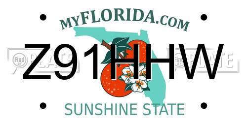 Z91HHW Florida License Plate