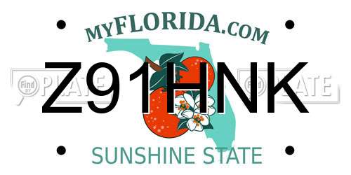 Z91HNK Florida License Plate