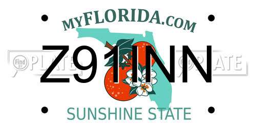 Z91INN Florida License Plate