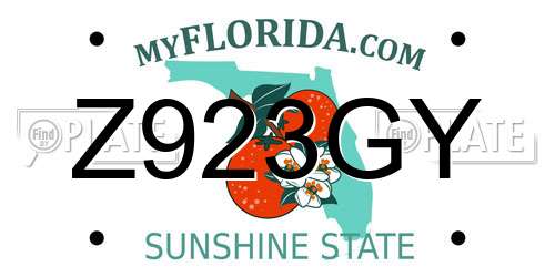 Z923GY Florida License Plate