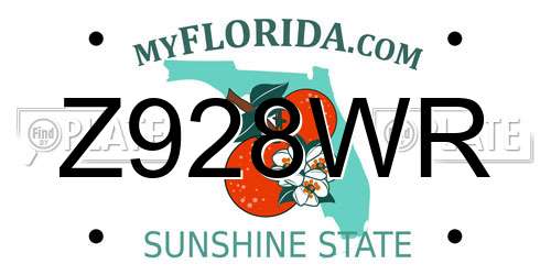 Z928WR Florida License Plate