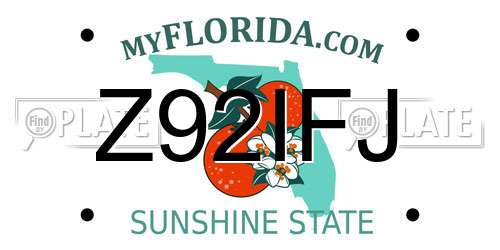 Z92IFJ Florida License Plate