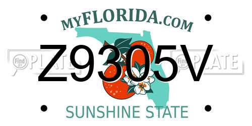 Z9305V Florida License Plate