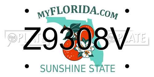 Z9308V Florida License Plate