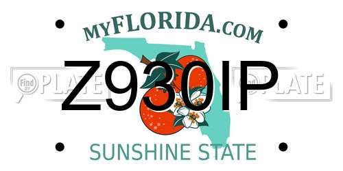 Z930IP Florida License Plate