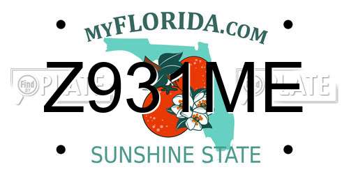 Z931ME Florida License Plate