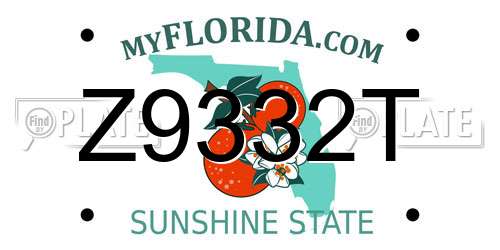 Z9332T Florida License Plate
