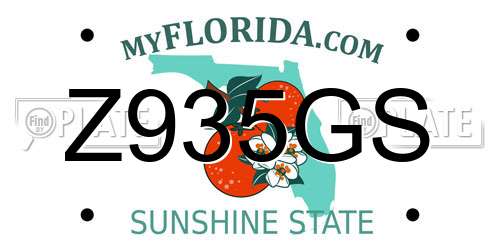 Z935GS Florida License Plate