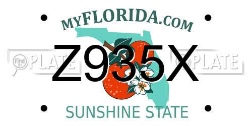 Z935X Florida License Plate