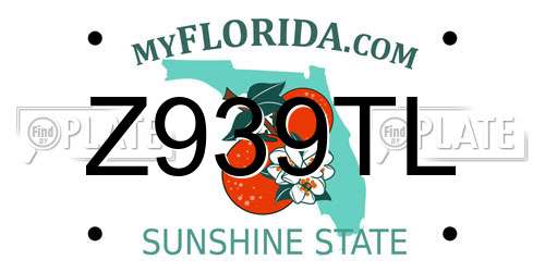 Z939TL Florida License Plate