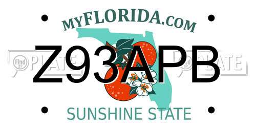 Z93APB Florida License Plate