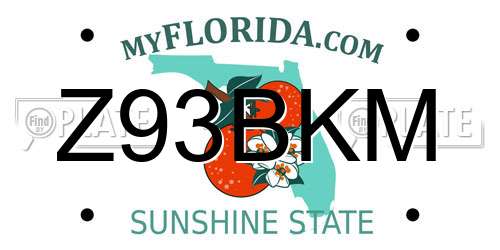 Z93BKM Florida License Plate