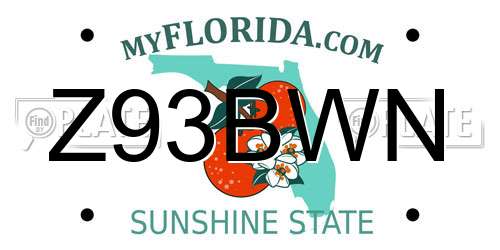 Z93BWN Florida License Plate