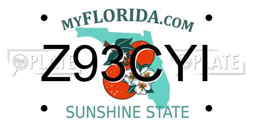 Z93CYI Florida License Plate