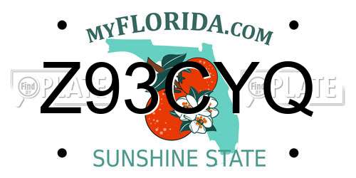 Z93CYQ Florida License Plate