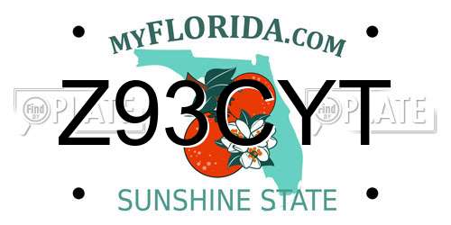 Z93CYT Florida License Plate