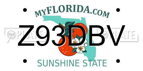 Z93DBV Florida License Plate