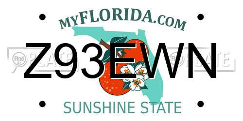 Z93EWN Florida License Plate